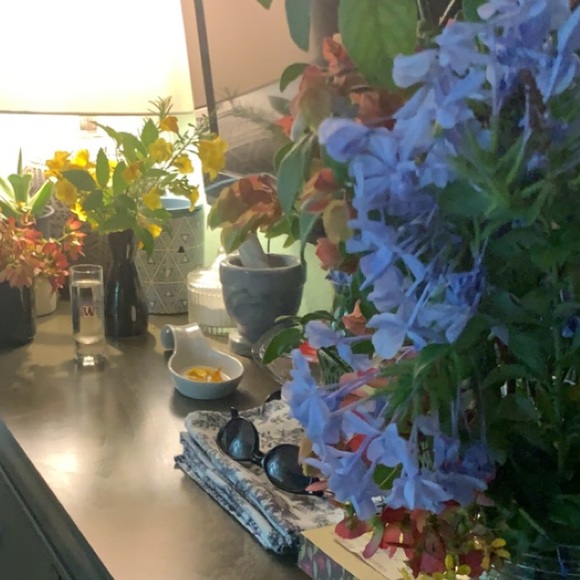 Meet your Posher, Gillian - Picture 1 of 1